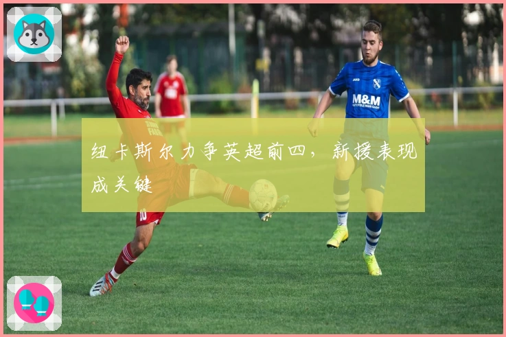 纽卡斯尔力争英超前四，新援表现成关键