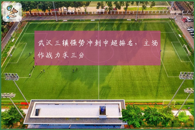 武汉三镇强势冲刺中超排名，主场作战力求三分