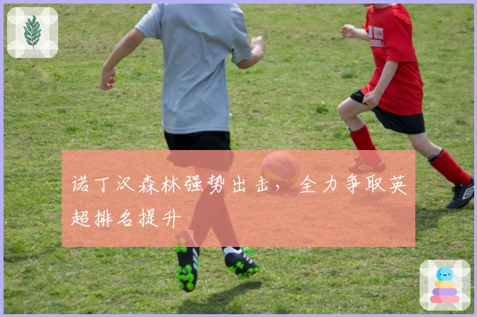 诺丁汉森林强势出击，全力争取英超排名提升