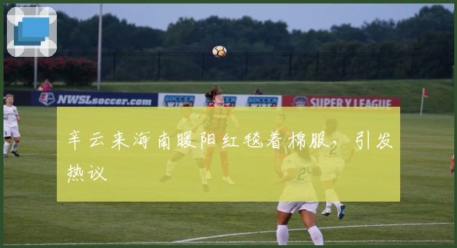 辛云来海南暖阳红毯着棉服，引发热议